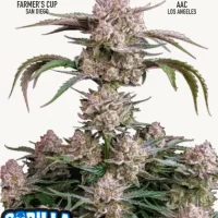 STRAWBERRY GORILLA Auto